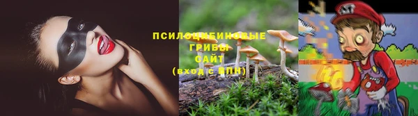 ALPHA PVP Алзамай
