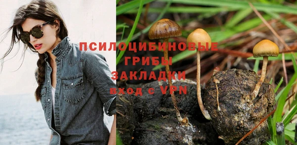 шишки Алексин