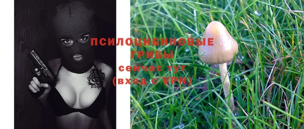 шишки Алексин