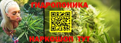 spice Шебекино