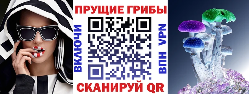 Псилоцибиновые грибы мицелий Тейково