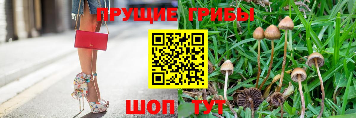 Тейково  Галлюциногенные грибы GOLDEN TEACHER  Псилоцибиновые грибы GOLDEN TEACHER  цены   Вход с VPN 